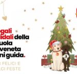 Locandina Regali Solidali Siamo Presenti Domenica 15 Dicembre In Piazza Del Donatore Ad Albignasego.