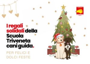 Locandina Regali Solidali siamo presenti domenica 15 Dicembre in Piazza del Donatore ad Albignasego.