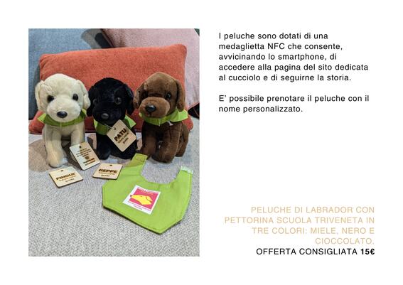 IPeluche a forma di Labrador , biondo, nero, chocolate con pettorina della triveneta e medaglietta NFC che racconta la storia del cucciolo.