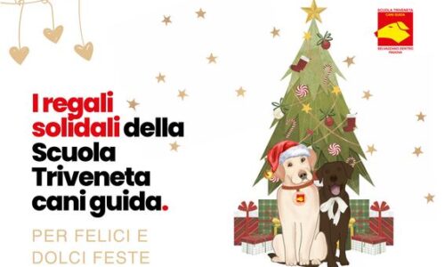 Locandina Regali Solidali Siamo Presenti Domenica 15 Dicembre In Piazza Del Donatore Ad Albignasego.