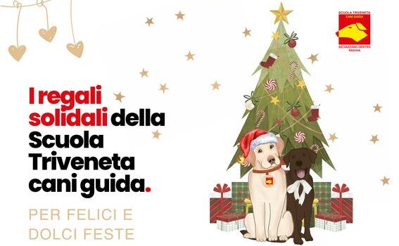 Locandina Regali Solidali Siamo Presenti Domenica 15 Dicembre In Piazza Del Donatore Ad Albignasego.